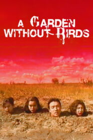 A Garden Without Birds