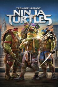 Teenage Mutant Ninja Turtles (2014) WEB-DL [Hindi (DD5.1) & English] 480p | 720p | 1080p [x264/ESubs] | Full Movie