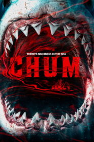 Chum (2026) BluRay [Hindi (DD2.0) & English] 480p | 720p | 1080p [x264/ESubs] | Full Movie