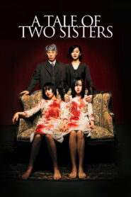 A Tale of Two Sisters (2003) BluRay [Hindi (DD5.1) & English] 480p | 720p | 1080p [x264/ESubs] | Full Movie