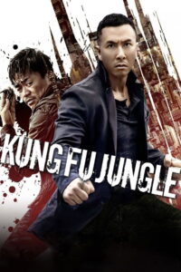 Kung Fu Jungle (2014) Hindi Dubbed (ORG) & Chinese [Dual Audio] BluRay 1080p 720p 480p [Full Movie]