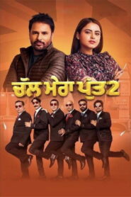 Chal Mera Putt 2 (2020) WEB-DL [Punjabi DD5.1] 1080p 720p & 480p [x264/HEVC] | Full Movie
