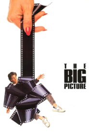 The Big Picture (1989) BluRay [Hindi (DD5.1) & English] 480p | 720p | 1080p [x264/ESubs] | Full Movie