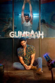 Gumraah (2023) HDCAMRip Hindi Full Movie 480p [500MB] | 720p [1.4GB] | 1080p [3.4GB]