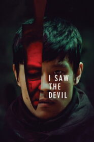 I Saw the Devil (2010) BluRay [Hindi (DD5.1) & English] 480p | 720p | 1080p [x264/ESubs] | Full Movie
