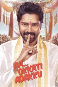 Aa Okkati Adakku (2024) WEB-DL [Hindi ORG + Telugu] 480p | 720p | 1080p [x264/ESubs] | Full Movie