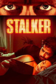 Stalker (2020) WEB-DL [Hindi + Korean] 480p | 720p | 1080p [x264/ESubs] | Full Movie