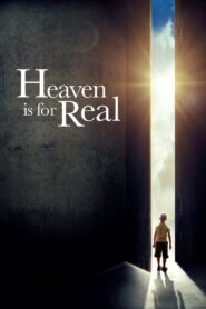 Heaven Is for Real (2014) WEB-DL [Hindi DD5.1 + English DD5.1] 480p | 720p | 1080p [x264/ESubs] | Full Movie